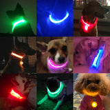 USB Charging/Battery replacement Led Dog Collar Anti-Lost Collar For Dogs Puppies Dog Collars Leads LED Supplies Pet Products