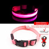USB Charging/Battery replacement Led Dog Collar Anti-Lost Collar For Dogs Puppies Dog Collars Leads LED Supplies Pet Products