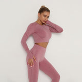 Women Seamless Yoga Set