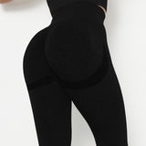 Women Seamless Yoga Set